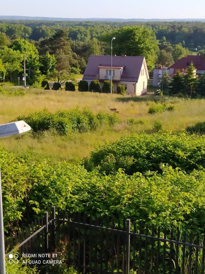 Mocik Lägenhet Jastrzębia Góra Exteriör bild